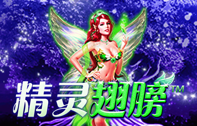 中欧体育kok